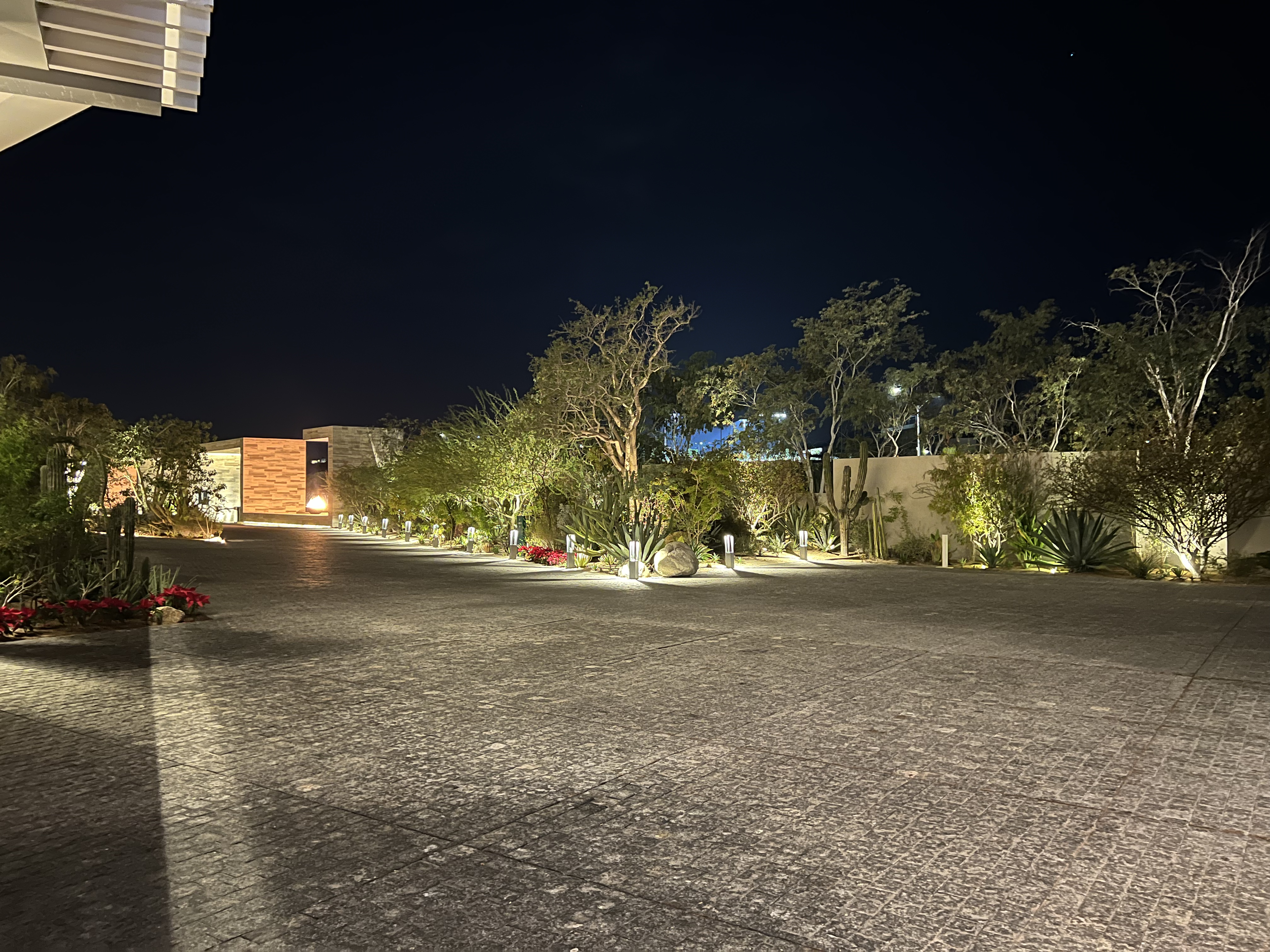 ./2024/13 - Cabo/IMG_4148.jpg